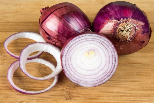 Kraken market onion