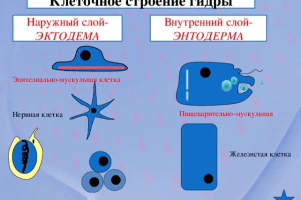 Кракен даркнет площадка ссылка