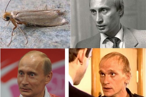 Кракен действующая ссылка