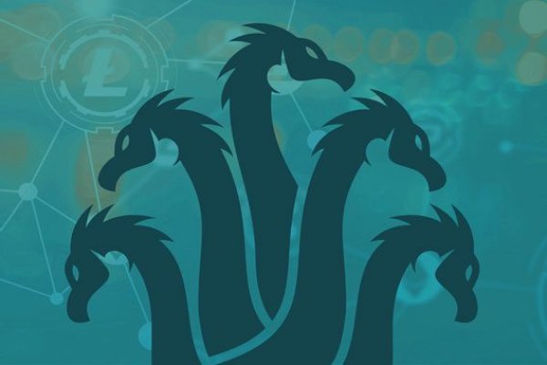 Kraken 18