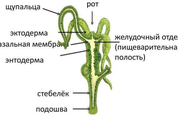 Магазин кракен дарк