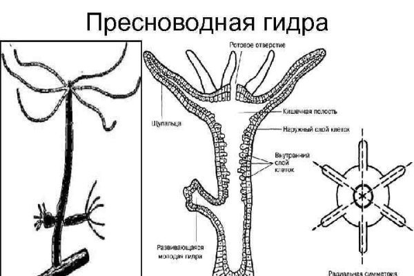 Сайты даркнета